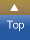 Pagetop